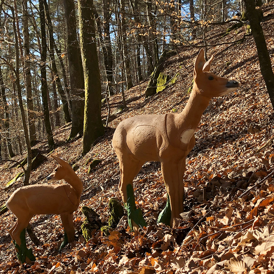 Rehe im Wald Bogenparcours